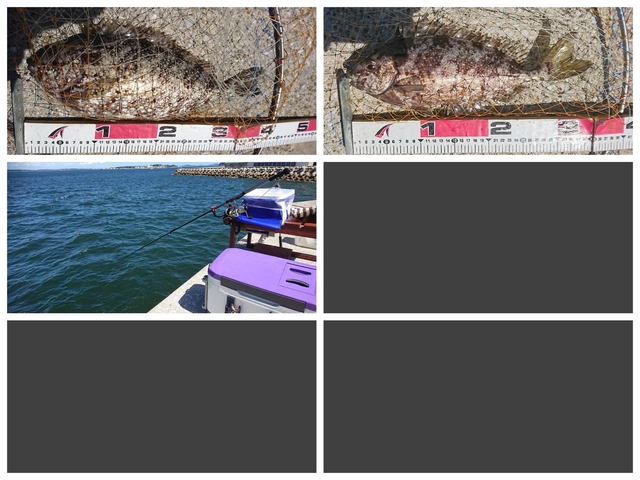 20180817釣果3.jpg