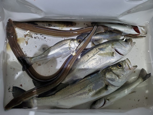20191215_014544.jpg